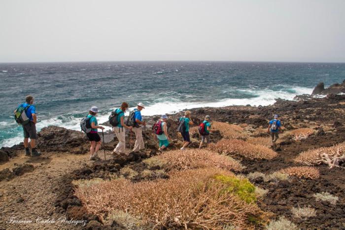 Piso Nuevo En El Puertito De Gueimar Al Lado Del Mar Realizamos Servicio De Excursiones Con Guia Puertito de Guimar Buitenkant foto